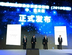 维多利亚老品牌vic(集团)官方网站